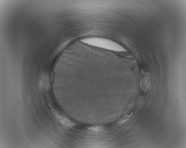 X0000060790164200512011715