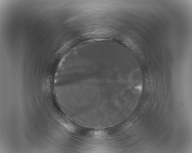 X0000060790165200512011715