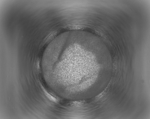 X0000060790166200512011715