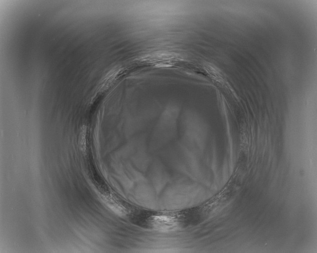 X0000060790167200512011715