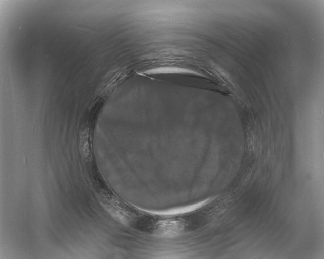 X0000060790169200512011715