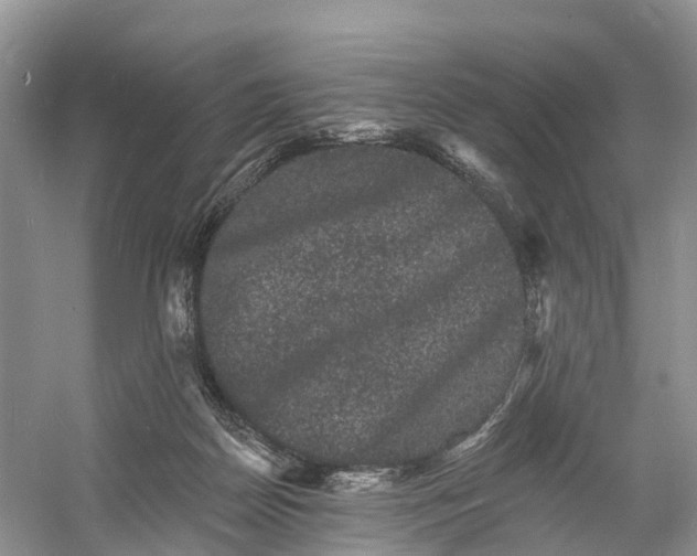 X0000060790170200512011715