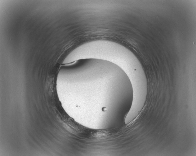 X0000060790171200512011715