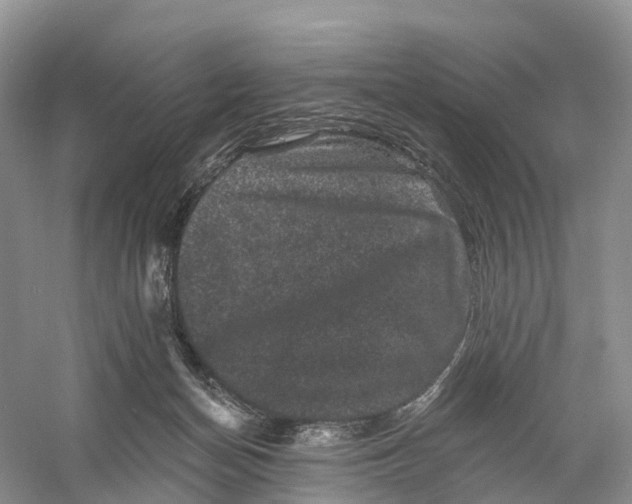 X0000060790174200512011715