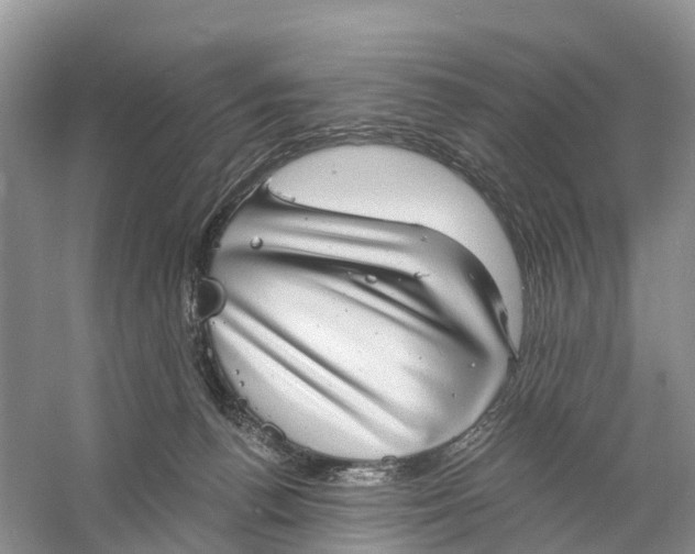 X0000060790176200512011716