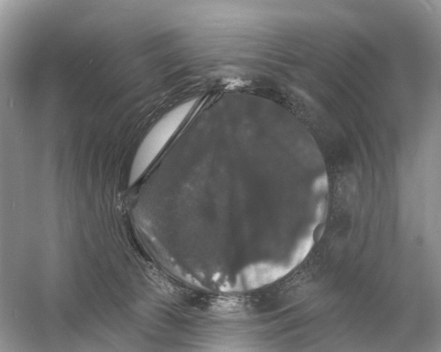 X0000060790177200512011716