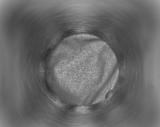 X0000060790179200512011716