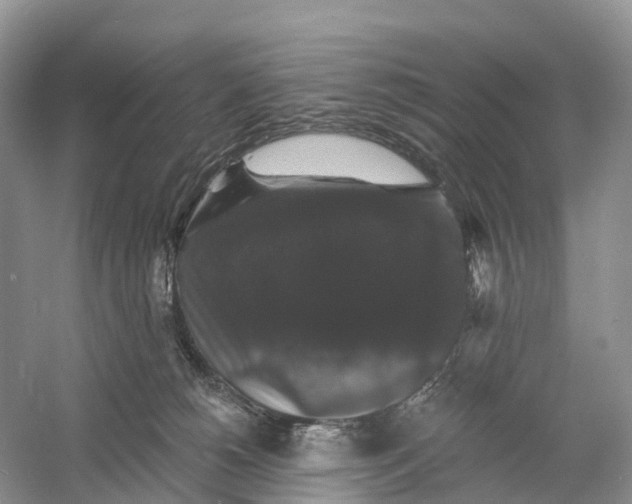 X0000060790180200512011716