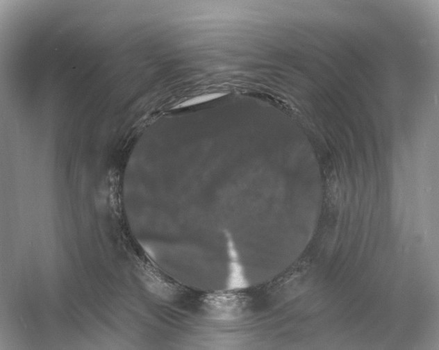 X0000060790181200512011716