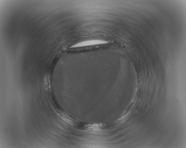 X0000060790182200512011716