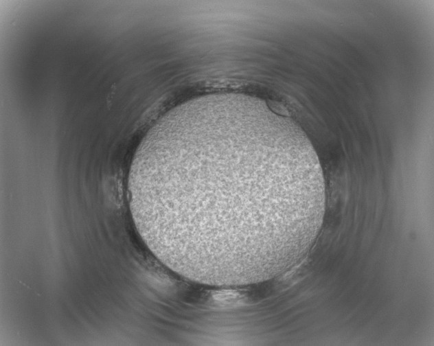 X0000060790183200512011716