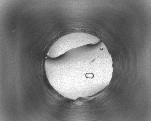 X0000060790184200512011716