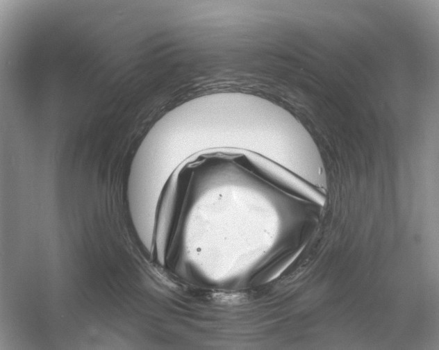 X0000060790185200512011716