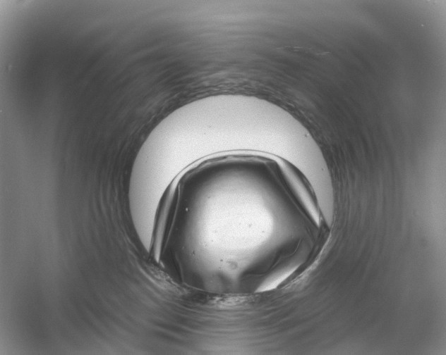 X0000060790186200512011716