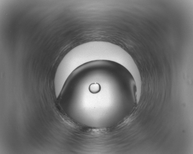 X0000060790188200512011716