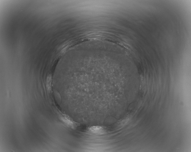 X0000060790189200512011716