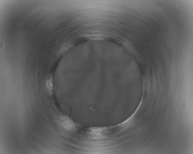 X0000060790190200512011716