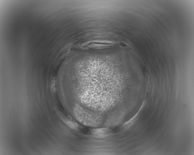 X0000060790191200512011716