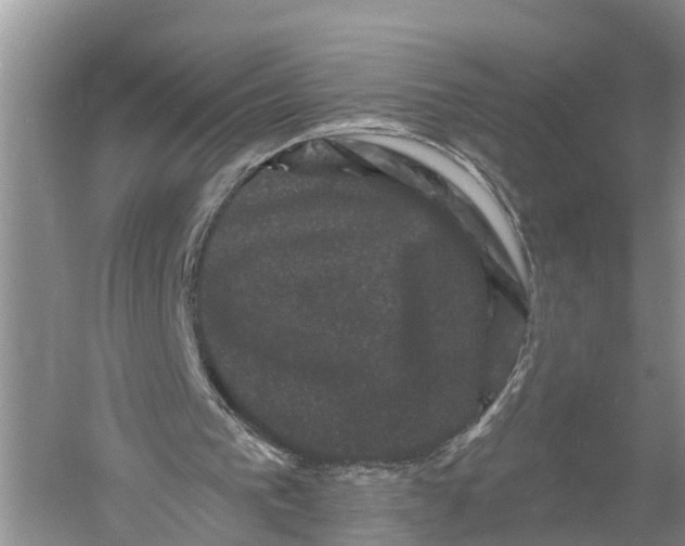 X0000060790193200512011715