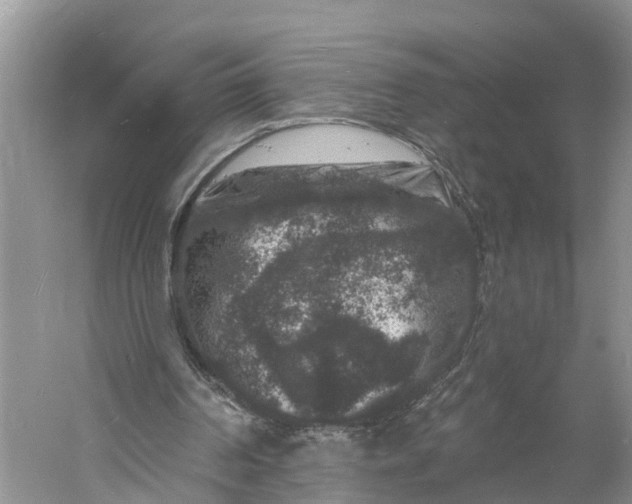 X0000060790194200512011715