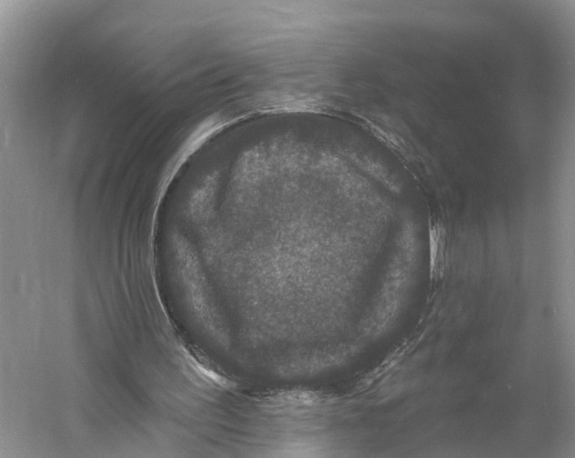 X0000060790195200512011715