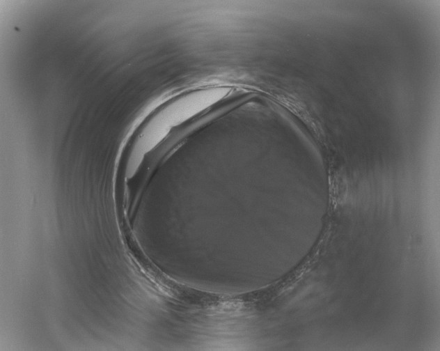 X0000060790196200512011715