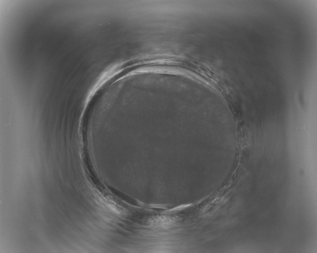 X0000060790198200512011715