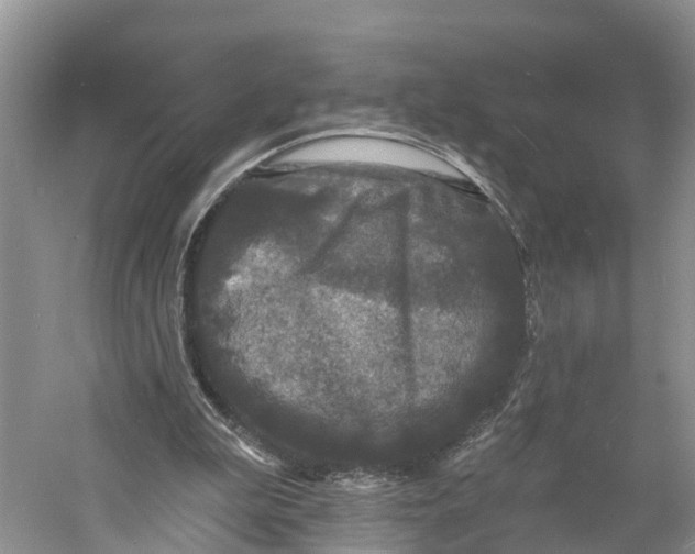 X0000060790199200512011715