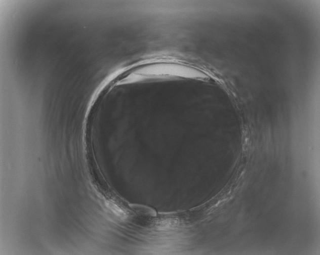 X0000060790200200512011715