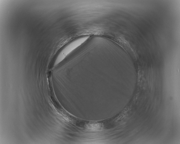 X0000060790202200512011715