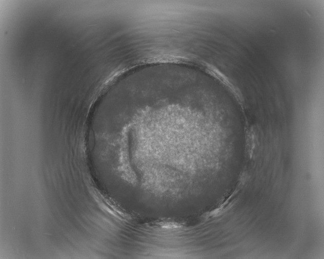 X0000060790203200512011715