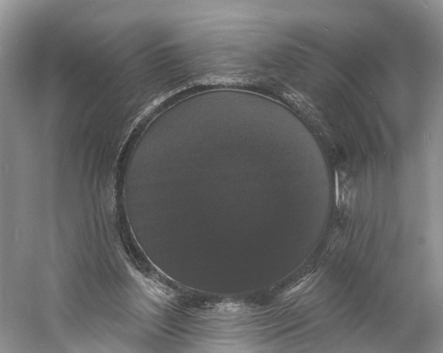 X0000060790204200512011715