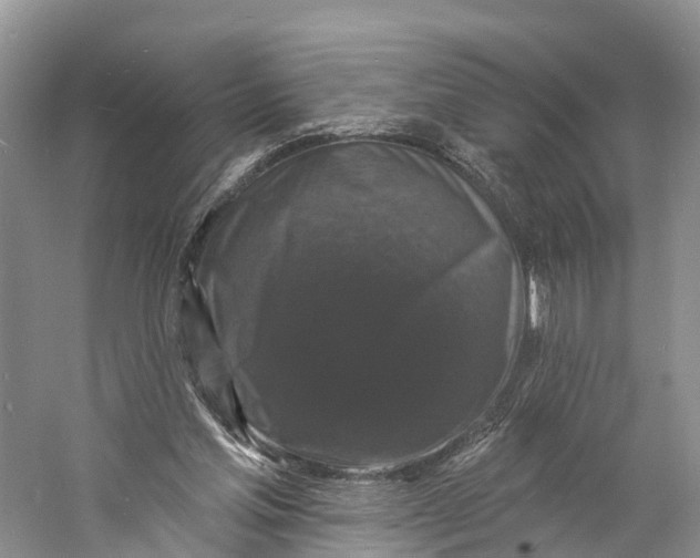 X0000060790205200512011715