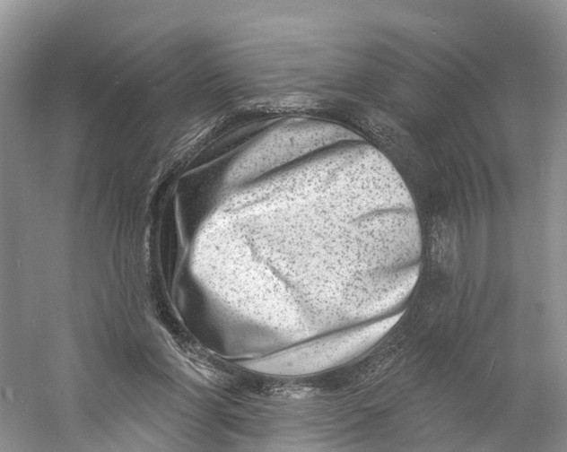 X0000060790206200512011715