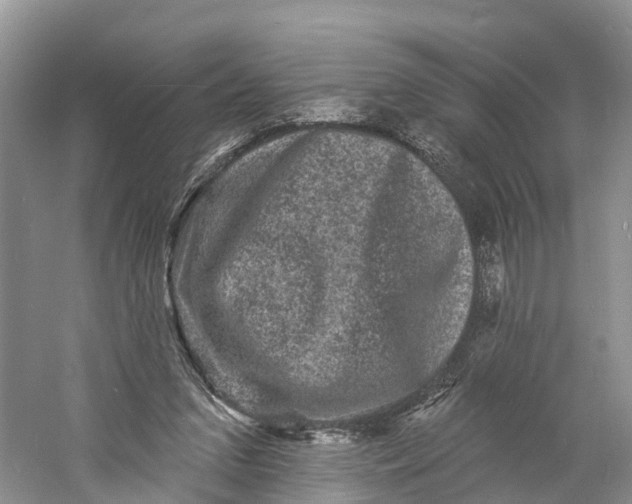 X0000060790207200512011715