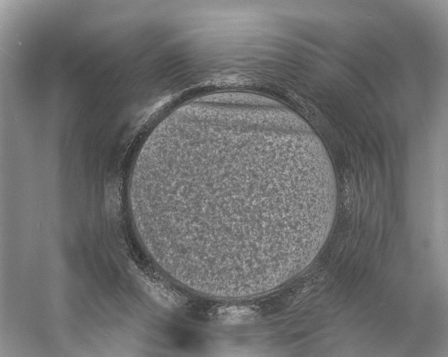 X0000060790208200512011715