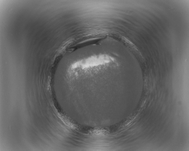 X0000060790209200512011715