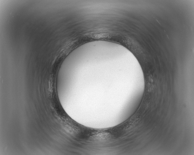 X0000060790210200512011715