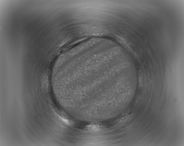 X0000060790211200512011715