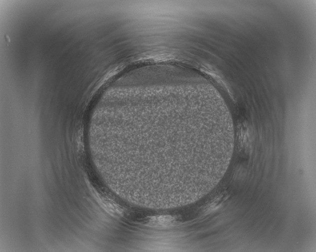 X0000060790212200512011715