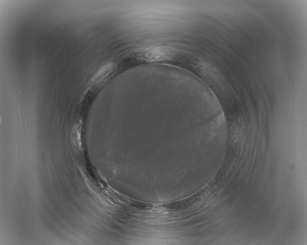 X0000060790214200512011715