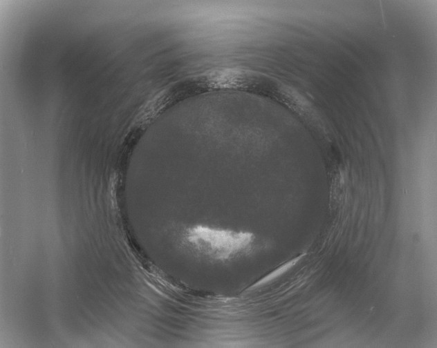 X0000060790217200512011715