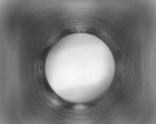 X0000060790218200512011715