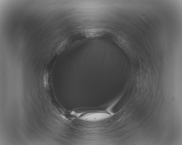 X0000060790219200512011715