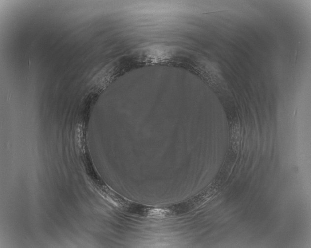 X0000060790222200512011714