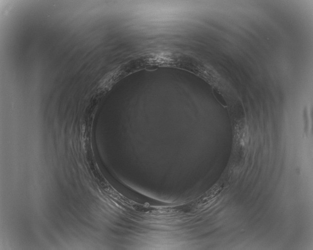 X0000060790223200512011714