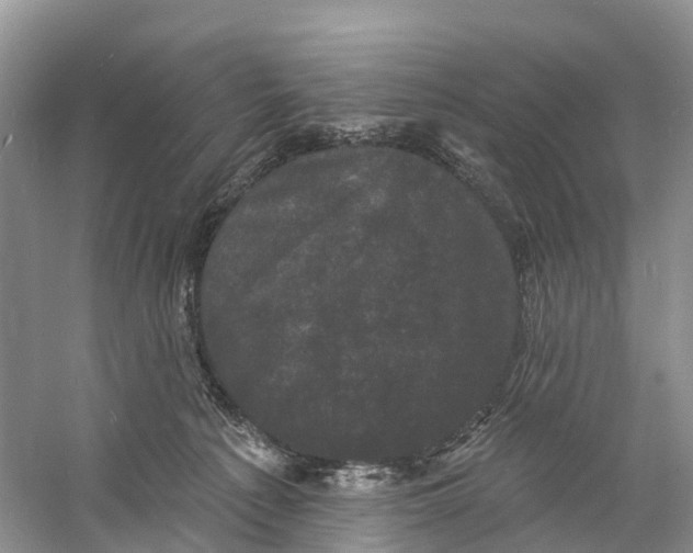 X0000060790225200512011714