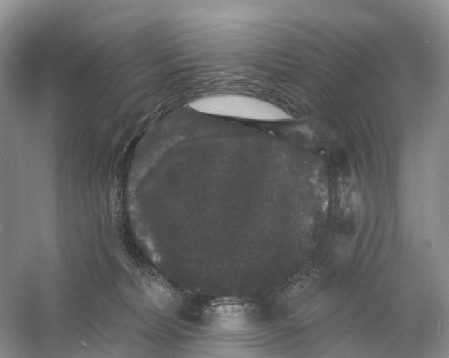 X0000060790228200512011714