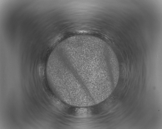 X0000060790230200512011714