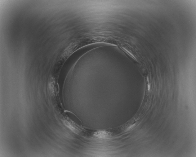 X0000060790231200512011714